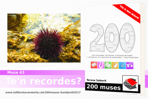 20170409-Millor_microrelat_llibre_200_muses-Sant_Jordi_2017-Guanyador_final
