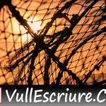 20180111-Vull_Escriure-Astuta_filla_pages-Grimm-Nets_at_Sunset_Essaouira_Morocco-Julia_Maudlin-Flickr