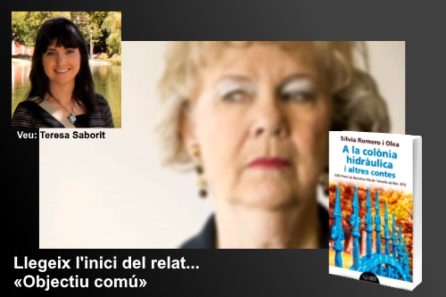 20170427-Lectura_en_veu_alta-Narradora_Oral-Teresa_Saborit-Objectiu_comu-A_la_colonia_hidraulica_i_altres_contes-Silvia_Romero